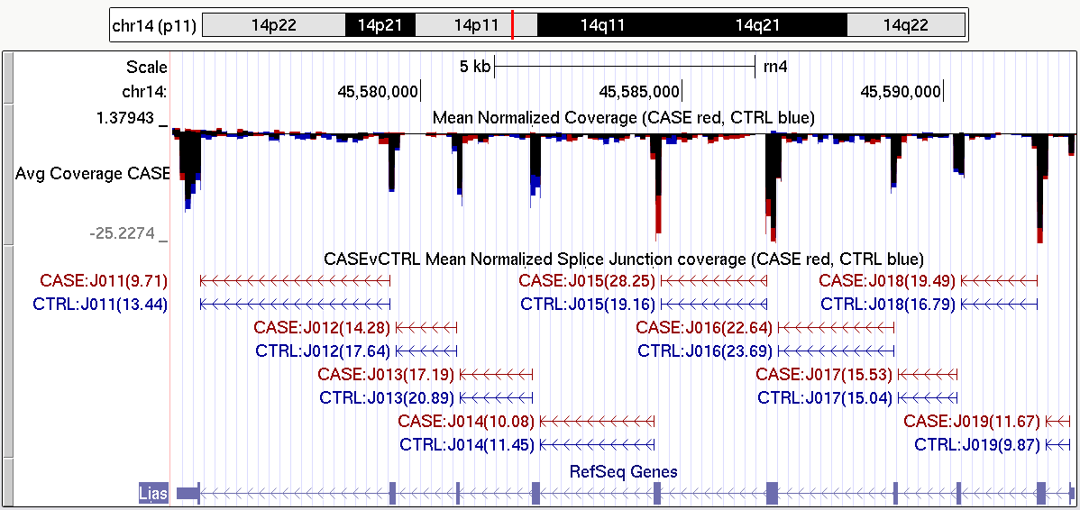 Image CASE-tracks